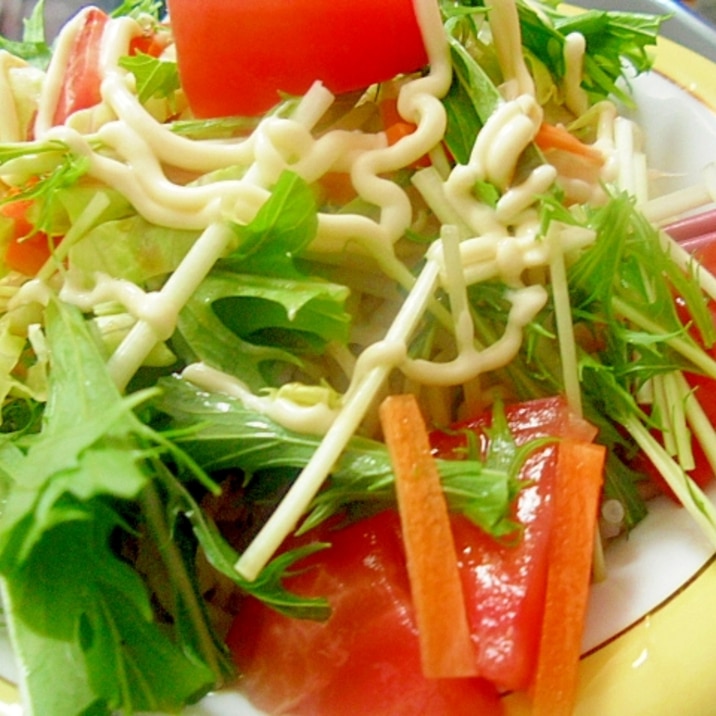 野菜だけのサラダ冷やし中華 レシピ 作り方 By ミスチバス 楽天レシピ 野菜だけのサラダ冷やし中華 レシピ 作り方 By ミスチバス 楽天レシピ